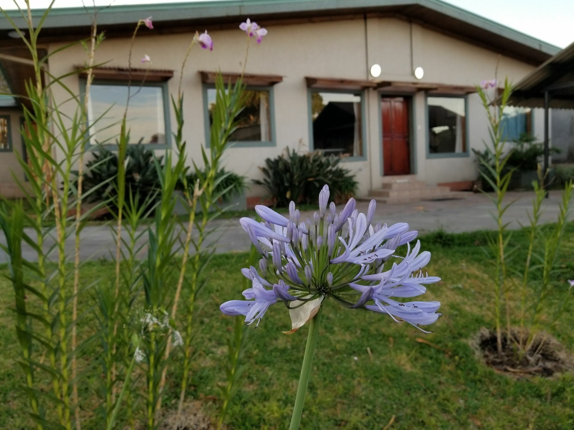 Hotel Monte Campana Escazu San José Kültér fotó